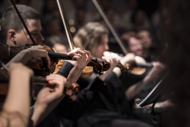 Live Music Concert
